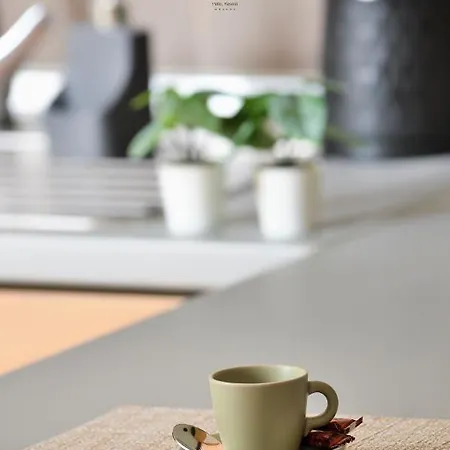 Gaia Apartament PalaiónTsiflíkion