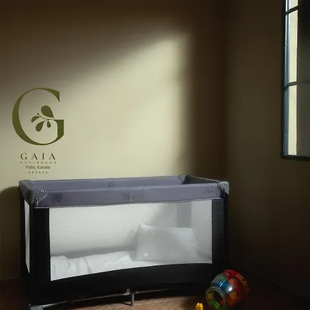 Gaia Palaiontsiflikion