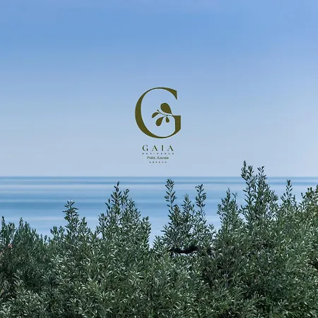 Gaia Palaiontsiflikion